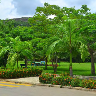 Fort-Royal homes estate relaxation garden